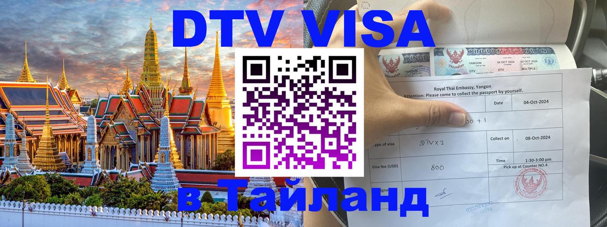 Сколько стоит DTV виза — актуальные цены, оформление даже без документов - 07.01.2026 